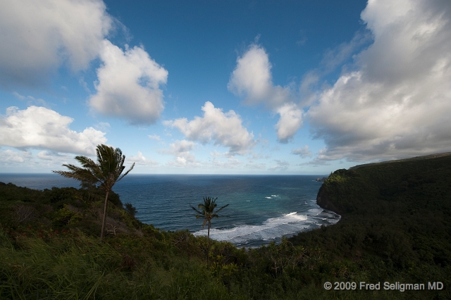 20091101_154643 D3.jpg - Pololu Valley Lookout, Hawaii.  The highway ends at this point